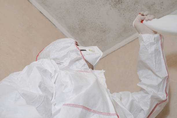 Mineral Springs, AR Mold Remediation Company